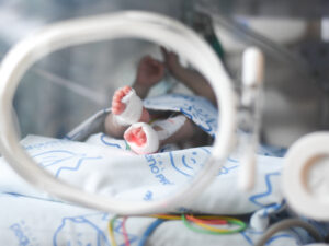 IRAS Prevention Day: Imersivo em Boas Práticas